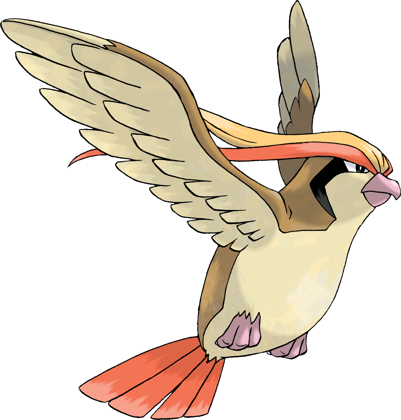Roucarnage