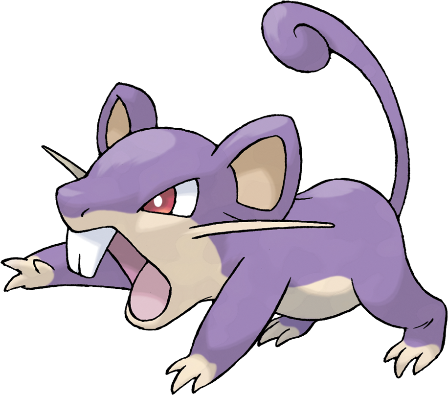 Rattata