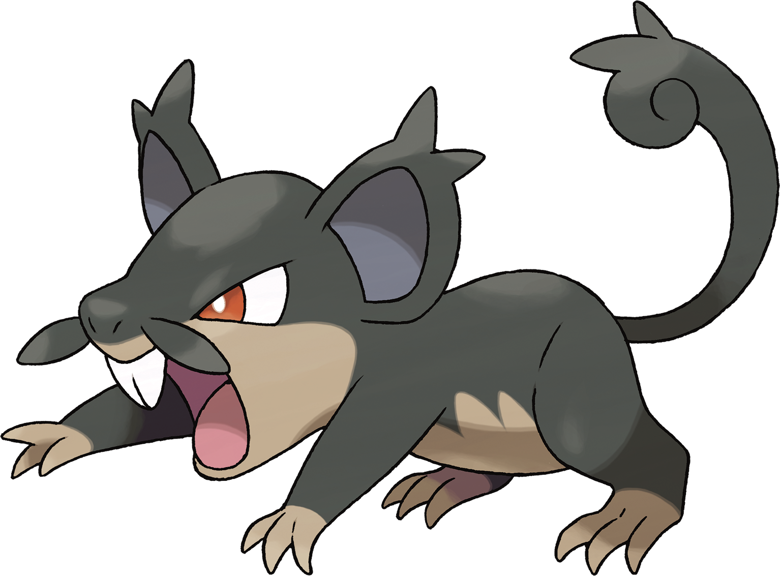 Rattata